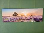 Muur decoratie, Ophalen, 50 tot 75 cm, 125 cm of meer, Zo goed als nieuw