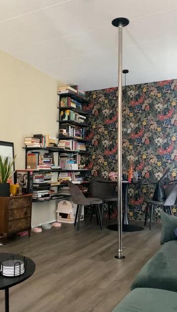Lupit pole danspaal spin en statisch beschikbaar voor biedingen