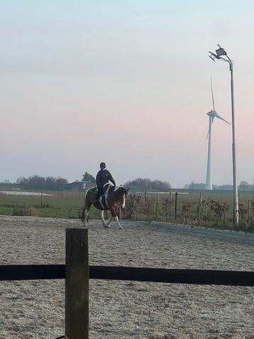 Stalhulp aangeboden beschikbaar voor biedingen