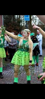 Carnavals kleding elfjes en bloemen, Ophalen of Verzenden, Zo goed als nieuw