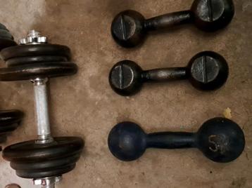 Set gewichten: 1x 10 kg + 1x 5 kg + 23,5kg beschikbaar voor biedingen