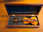 Miniatuur Viool 22 cm in Doos, Ophalen