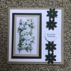 Oplegsetje 172., Ophalen of Verzenden, Nieuw, Overige thema's