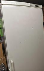Bosch vriezer, Witgoed en Apparatuur, Vriezers en Diepvrieskisten, Gebruikt, 160 cm of meer, Ophalen, Vrieskast