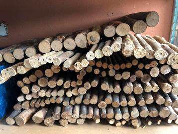 Cavia Wilgenboog/ drinkfles/voerbak/ vervoerbox beschikbaar voor biedingen