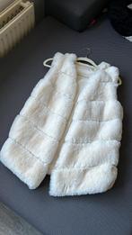 Gilet bodywarmer maat S, Ophalen, Zo goed als nieuw, Maat 36 (S)