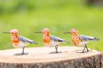 Mooievogels - vogelbeelden, Nieuw, Overige typen, Ophalen of Verzenden