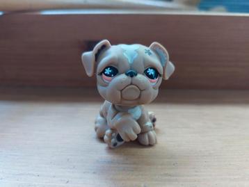 LPS Littlest pet shop bulldog hond beschikbaar voor biedingen