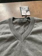 Grijze v hals truien maat L, Ophalen of Verzenden, Nieuw, Maat 48/50 (M), Grijs