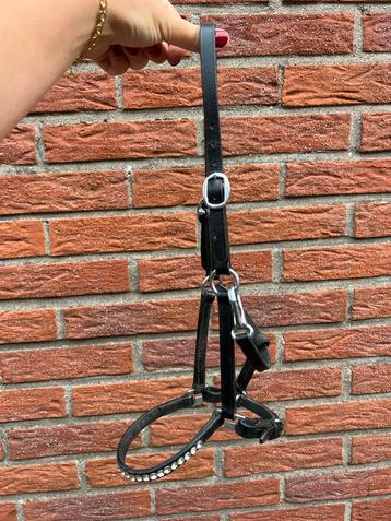Leren halster met steentjes maat veulen beschikbaar voor biedingen