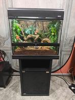 Overcompleet Exo Terra terrarium te koop, veel accessoires, Ophalen, Terrarium of Paludarium