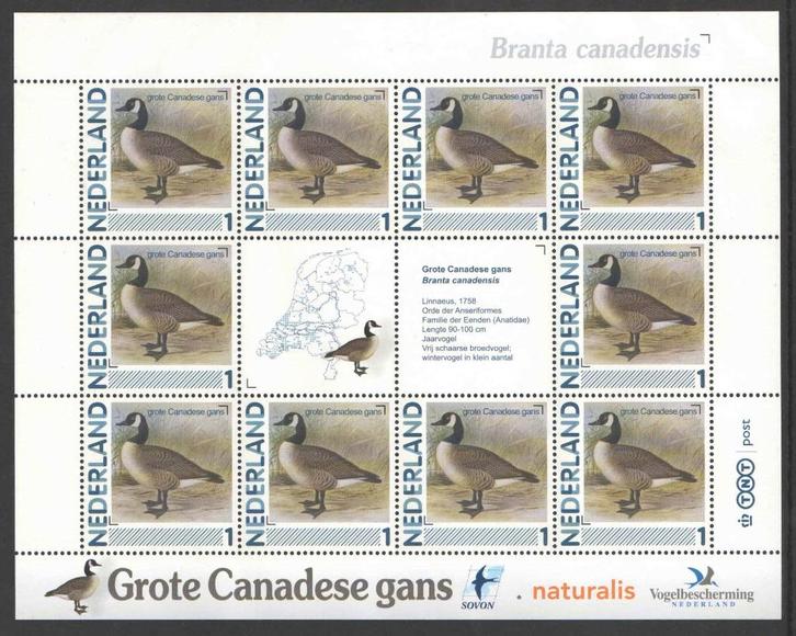 Postzegels Vogels in Nederland: Grote Canadese Gans, Postzegels en Munten, Postzegels | Nederland, Postfris, Na 1940, Ophalen of Verzenden