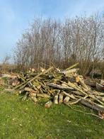 Grote partij brandhout., Tuin en Terras, Haardhout, 6 m³ of meer, Ophalen, Stammen
