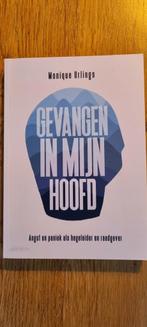 Gevangen in mijn hoofd.  Angst en paniek als raadgever, Ophalen of Verzenden, Zo goed als nieuw