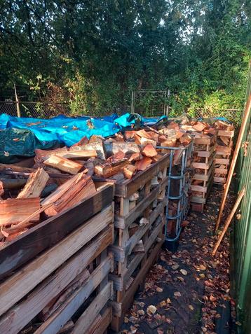 Kuubkist gemengd brandhout beschikbaar voor biedingen