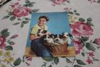 Honden Postkaart - Jonge en vier Foxterrier Pups, Italië, Verzenden, 1960 tot 1980, Gelopen, Hond of Kat