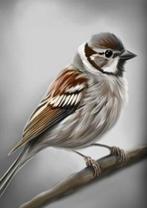 Canvas Prent A4 Mus, 1980 tot heden, Nieuw, Ophalen of Verzenden, Dier