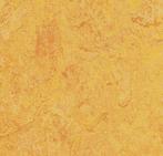 Couponnen Marmoleum Real 3225 nú €10 pm2, Crème, 75 m² of meer, Nieuw, Ophalen of Verzenden