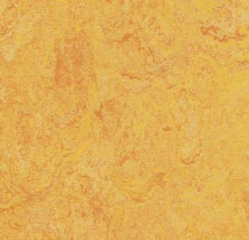 Couponnen Marmoleum Real 3225 nú €10 pm2 beschikbaar voor biedingen