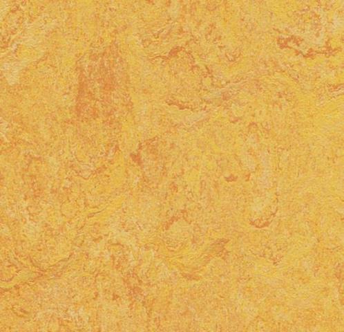Couponnen Marmoleum Real 3225 nú €10 pm2, Huis en Inrichting, Stoffering | Vloerbedekking, Nieuw, Vinyl, Wit, Crème, Beige, Bruin