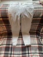 Pikeur broek maat 40, Dieren en Toebehoren, Paardrijkleding, Dressuur, Zo goed als nieuw, Dames, Onderkleding