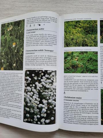 Kruiden encyclopedie Nico Vermeulen  beschikbaar voor biedingen