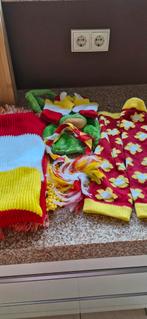 carnaval accessoires den bosch, Kleding | Dames, Carnavalskleding en Feestkleding, Ophalen of Verzenden, Zo goed als nieuw, Carnaval