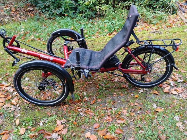 Gekko fx 20 trike, Fietsen en Brommers, Overige Fietsen en Brommers, Zo goed als nieuw, Ophalen