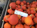pompoenen en aardappelen, Diversen, Levensmiddelen, Ophalen of Verzenden