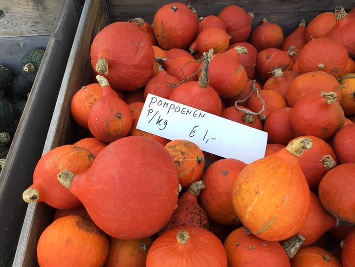 pompoenen en aardappelen, Diversen, Levensmiddelen, Ophalen of Verzenden