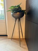 PTMD Genesis Pot op Poten, brons, Ophalen, 100 cm of meer, Rond, Zo goed als nieuw