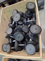 Technogym Dumbells gewichten van 2 tot 32kg, Ophalen, Zo goed als nieuw, Dumbbell