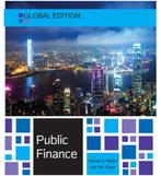Public Finance - Harvey S. Rosen & Ted Gayer, Ophalen of Verzenden, Gelezen