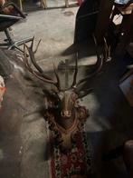 Houten Hert met Gewei, Ophalen of Verzenden