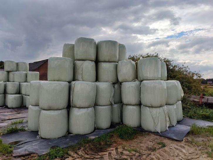 Midibalen kuilbalen hooibalen, Dieren en Toebehoren, Dierenvoeding, Vee, Ophalen