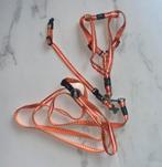 Rogz Utility tuigje, halsband en riem - oranje maat S, Ophalen of Verzenden, Zo goed als nieuw