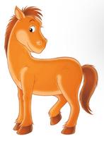 GEZOCHT: LIEVE SHETLANDER / KINDERPONY GRATIS, Dieren en Toebehoren, Paarden en Pony's | Dekens en Dekjes, Ophalen of Verzenden