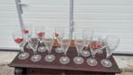 bierglazen, Ophalen of Verzenden, Gebruikt, Bierglas