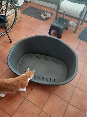 Honden mand groot kunststof  beschikbaar voor biedingen