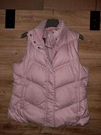 Roze Esprit bodywarmer - Maat 42, Maat 38/40 (M), Ophalen of Verzenden, Zo goed als nieuw, Roze