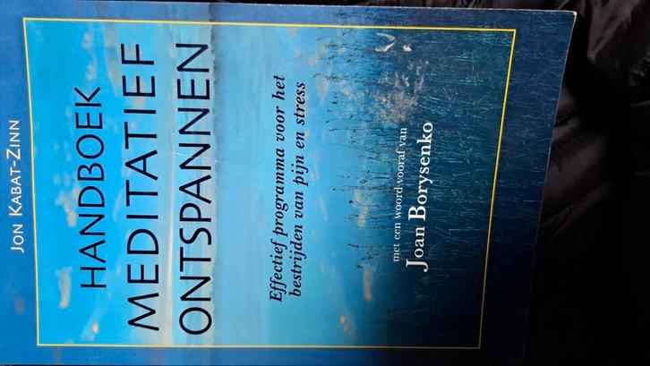 Jon Kabat-Zinn - Handboek meditatief ontspannen, Boeken, Esoterie en Spiritualiteit, Zo goed als nieuw, Achtergrond en Informatie