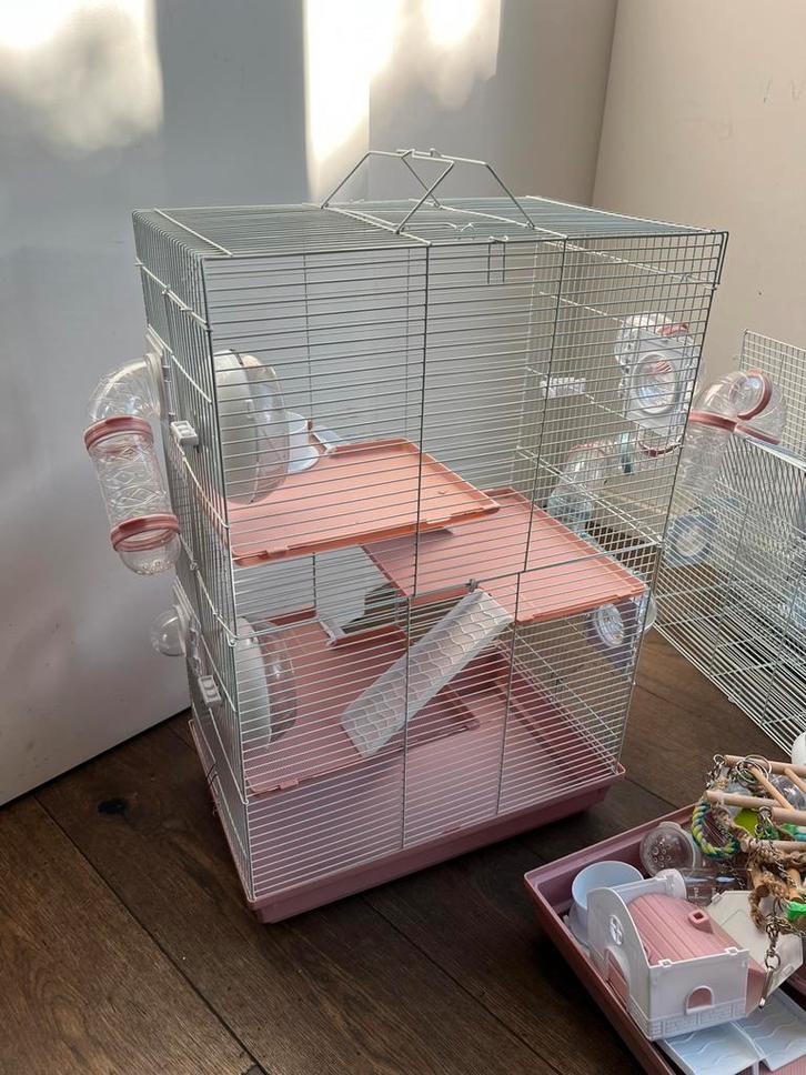 2 grote hamtserkooien, Dieren en Toebehoren, Knaagdieren en Konijnen | Hokken en Kooien, Gebruikt, Kooi, 60 tot 90 cm, Minder dan 75 cm