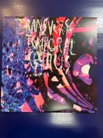 Animal Collective ‎– Transverse Temporal Gyrus  -12" RSD '12, Ophalen of Verzenden, Zo goed als nieuw, 12 inch