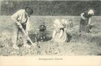 701005003 Zeeland Aardappelrooiers, Verzenden, Voor 1920, Zeeland