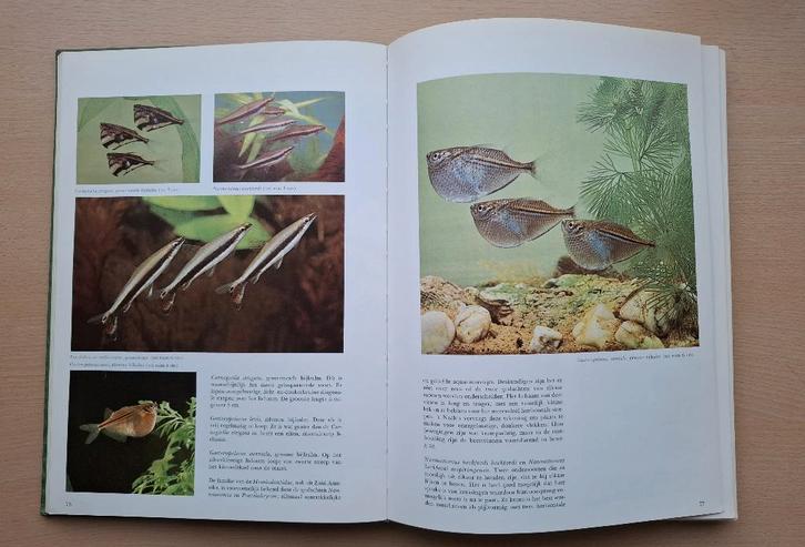 Elseviers Aquariumboek, Verzamelen, Overige Verzamelen, Zo goed als nieuw, Verzenden