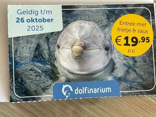 Entreekaartje Dolfinarium met frietje en saus, Tickets en Kaartjes, Recreatie | Pretparken en Attractieparken, Drie personen of meer