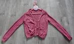 Nieuw roze paars vestje met mooie knoopjes maat 122 128, Ophalen of Verzenden, Nieuw, Meisje, Trui of Vest