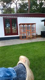 Kattenren, Dieren en Toebehoren, Katten-accessoires, Ophalen, Zo goed als nieuw