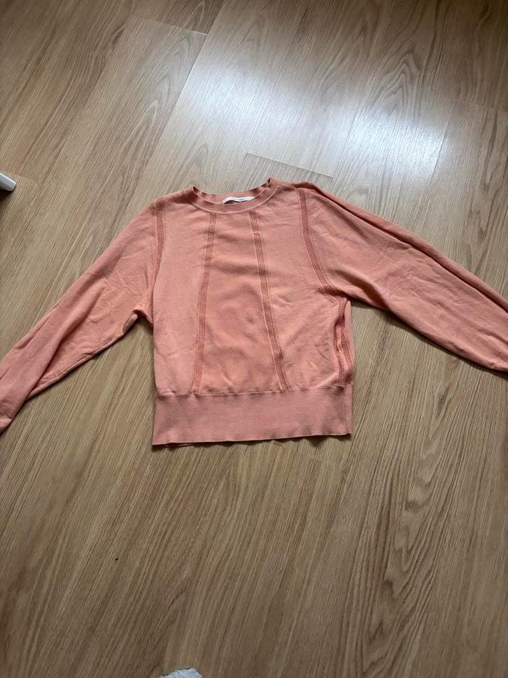 Yaya Zomer Truitje XXS - Nooit Gedragen!, Kleding | Dames, T-shirts, Nieuw, Maat 34 (XS) of kleiner, Korte mouw, Ophalen of Verzenden