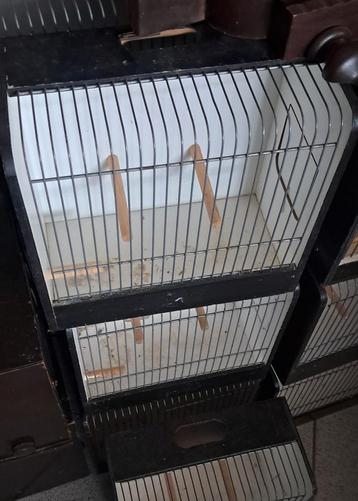 Vogelkooi tentoonstelling kastjes beschikbaar voor biedingen